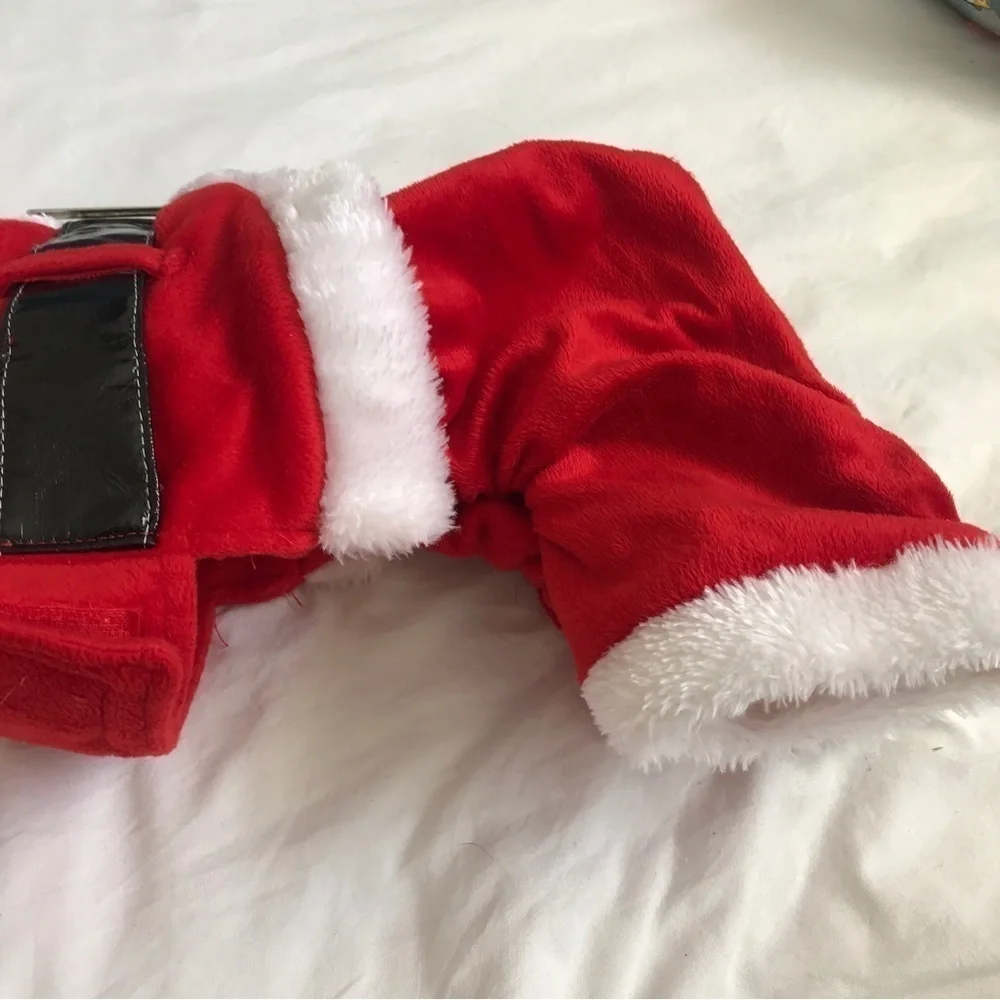 Santa pet costume
